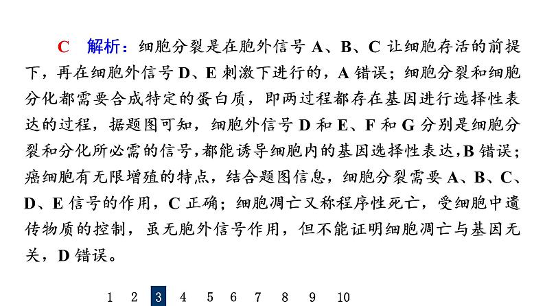 人教版高考生物一轮总复习课时质量评价12细胞的分化、衰老和死亡课件第7页