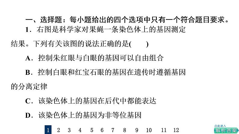 人教版高考生物一轮总复习课时质量评价15基因在染色体上、伴性遗传和人类遗传病课件第2页