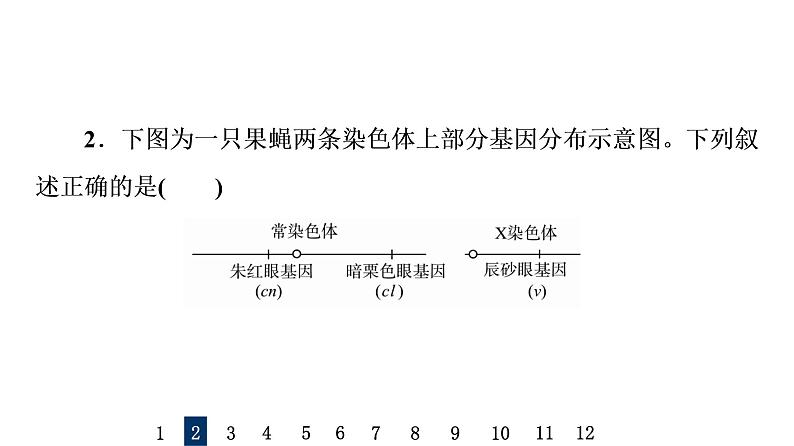 人教版高考生物一轮总复习课时质量评价15基因在染色体上、伴性遗传和人类遗传病课件第4页