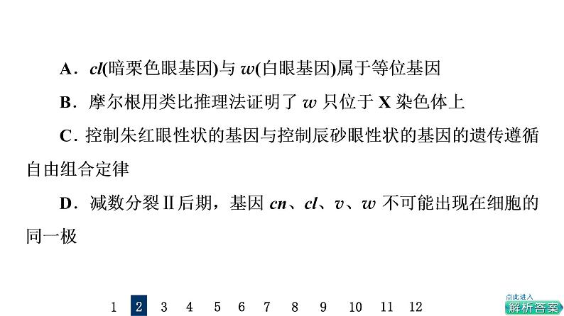 人教版高考生物一轮总复习课时质量评价15基因在染色体上、伴性遗传和人类遗传病课件第5页