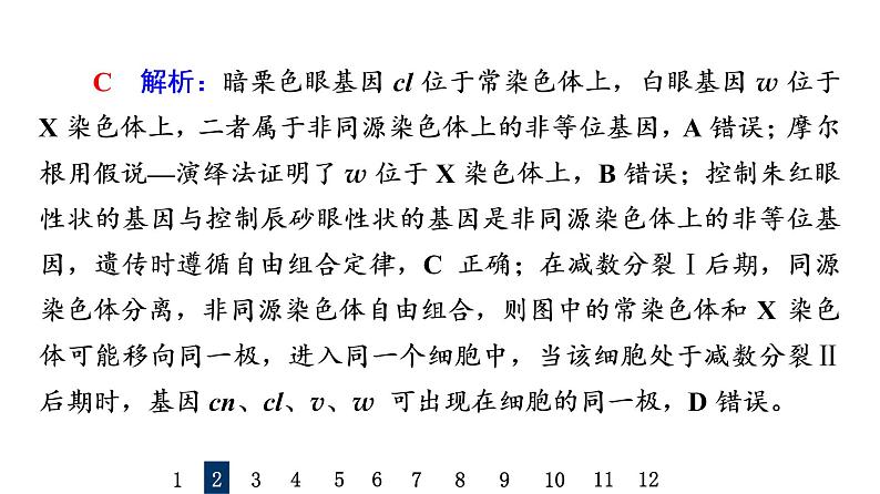 人教版高考生物一轮总复习课时质量评价15基因在染色体上、伴性遗传和人类遗传病课件第6页