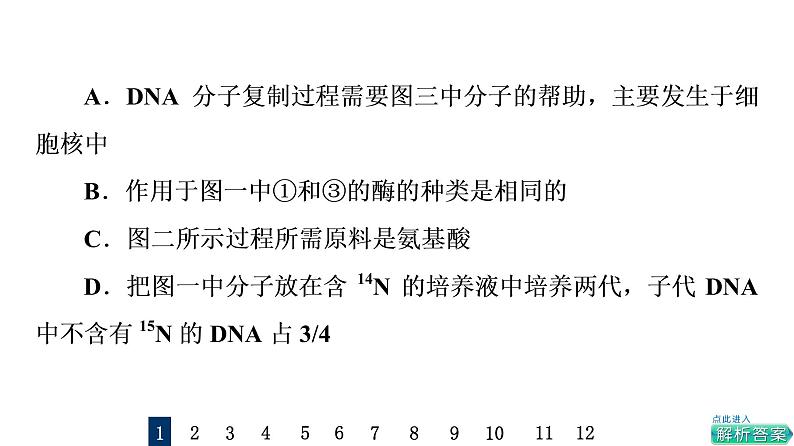 人教版高考生物一轮总复习课时质量评价18基因的表达课件第3页