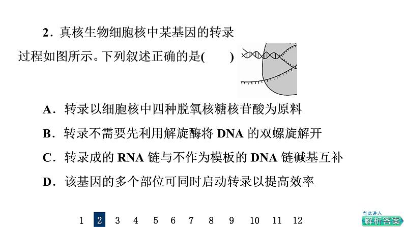 人教版高考生物一轮总复习课时质量评价18基因的表达课件第5页