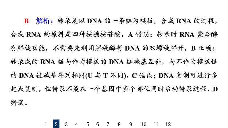 人教版高考生物一轮总复习课时质量评价18基因的表达课件第6页