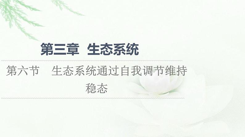 浙科版高中生物选择性必修2第3章第6节生态系统通过自我调节维持稳态课件第1页