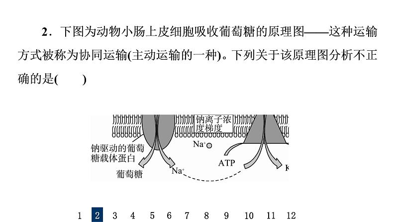 人教版高考生物一轮总复习课时质量评价6细胞的物质输入和输出课件第4页