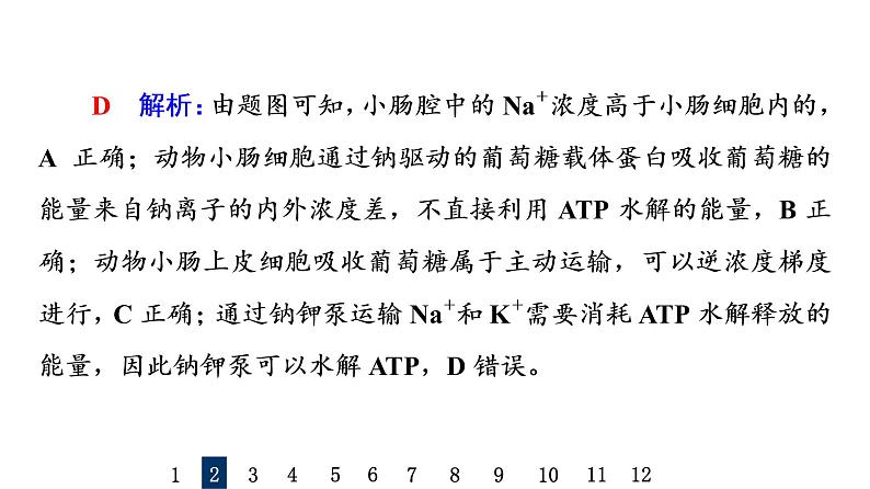 人教版高考生物一轮总复习课时质量评价6细胞的物质输入和输出课件第6页
