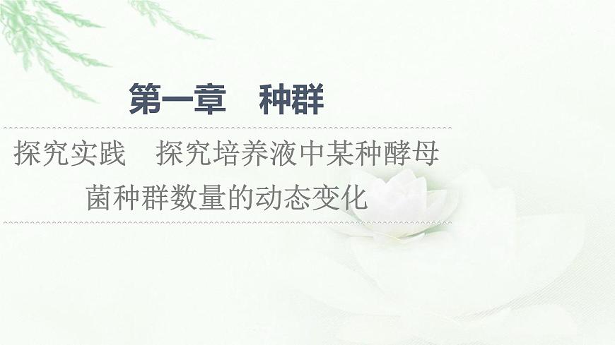 蘇教版高中生物選擇性必修2第1章探究實踐探究培養(yǎng)液中某種酵母菌種群數(shù)量的動態(tài)變化課件第1頁