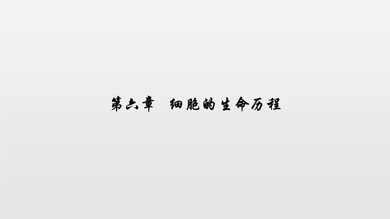 06细胞的生命历高中生物必修一章末复习课件01