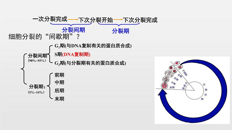 06细胞的生命历高中生物必修一章末复习课件04
