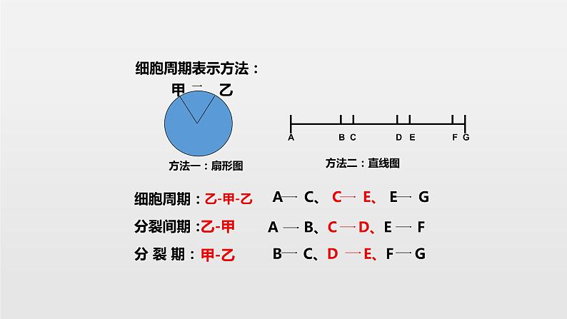 06细胞的生命历高中生物必修一章末复习课件05