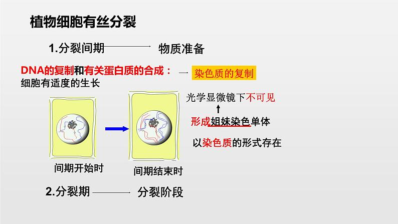06细胞的生命历高中生物必修一章末复习课件07