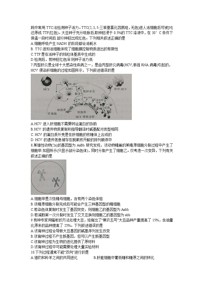 2023白银靖远县四中高三上学期第一次月考生物试题含答案第2页