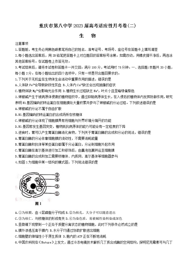 2023届重庆市第八中学校高三上学期高考适应性月考卷(二)生物试题 和解析第1页