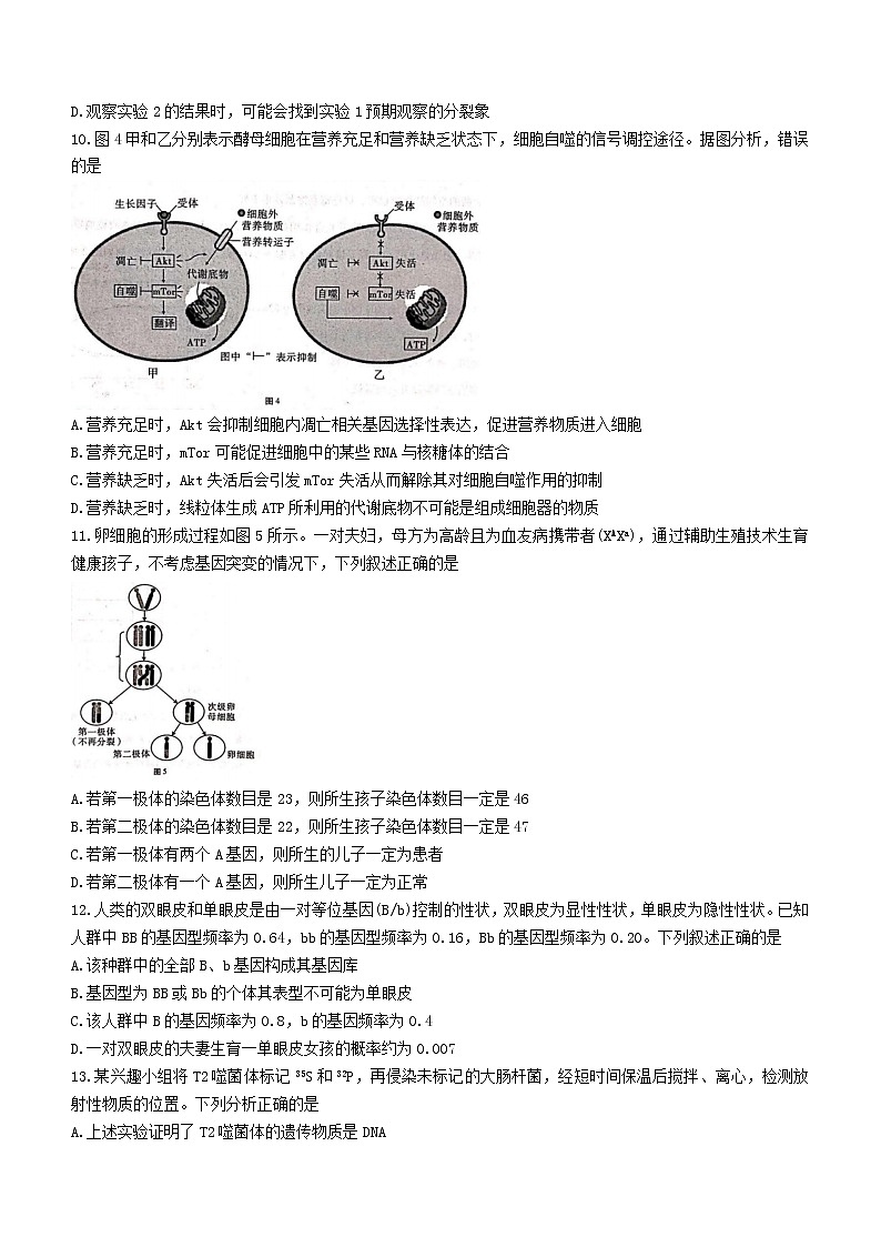 2023届重庆市第八中学校高三上学期高考适应性月考卷(二)生物试题 和解析第3页