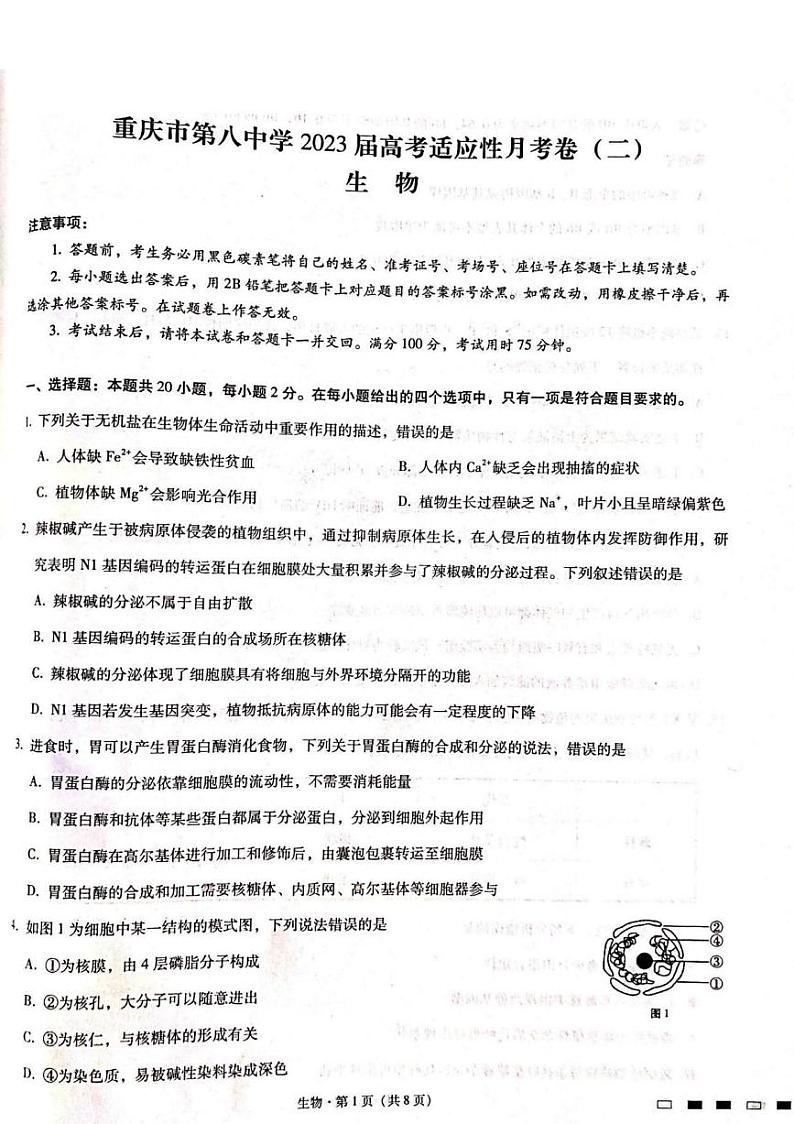 2023届重庆市第八中学校高三上学期高考适应性月考卷(二)生物试题第1页