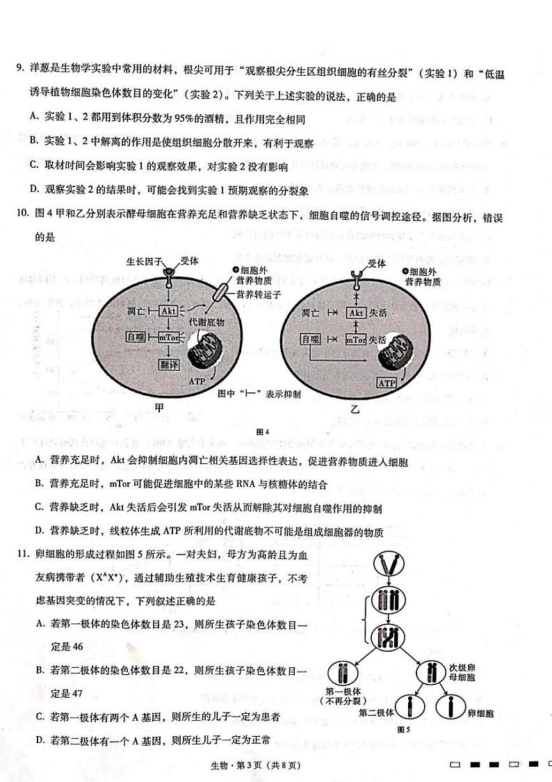 2023届重庆市第八中学校高三上学期高考适应性月考卷(二)生物试题第3页