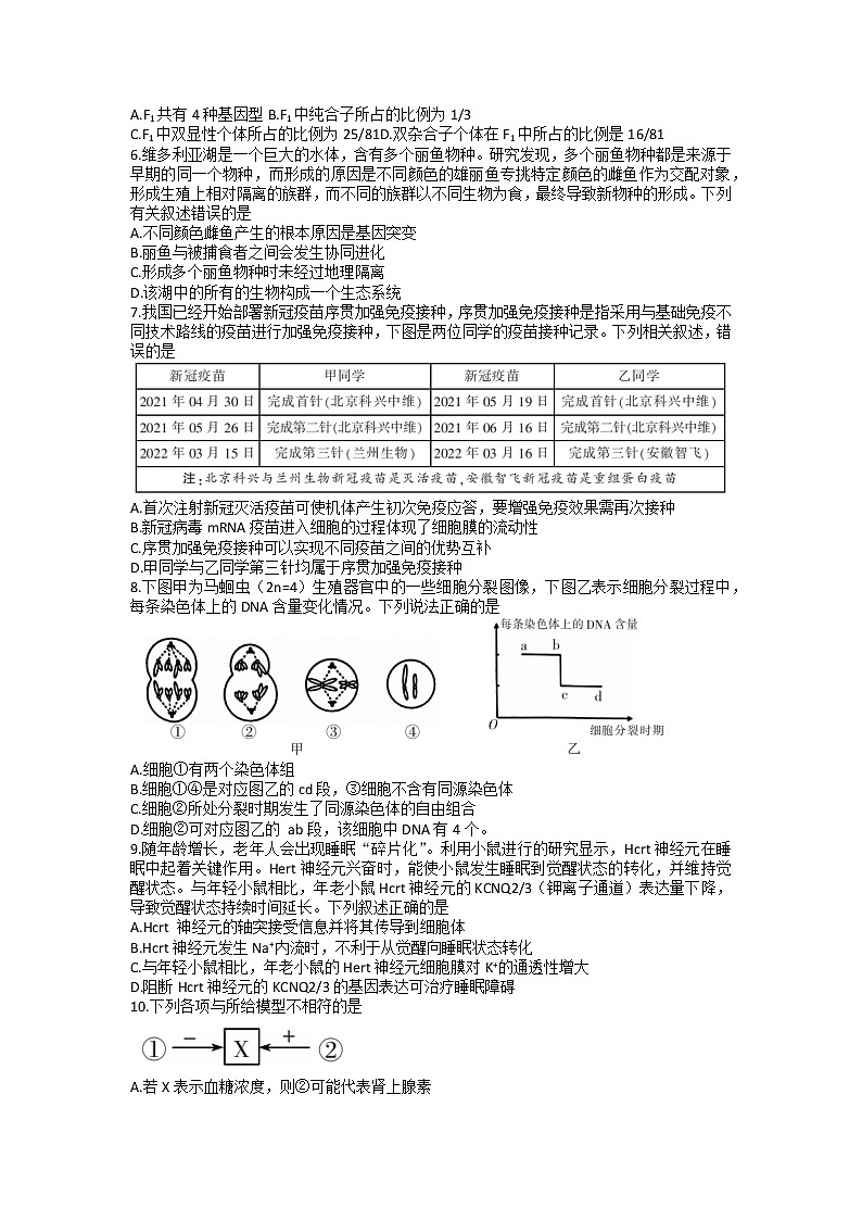 2023郴州高三上学期第一次教学质量监测生物试卷含答案02
