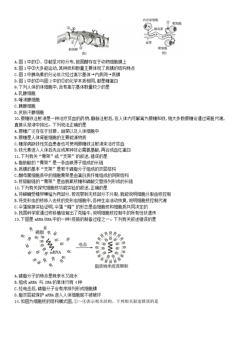 河南省南阳市六校2022-2023学年高一上学期期中联考生物试题 无答案第3页