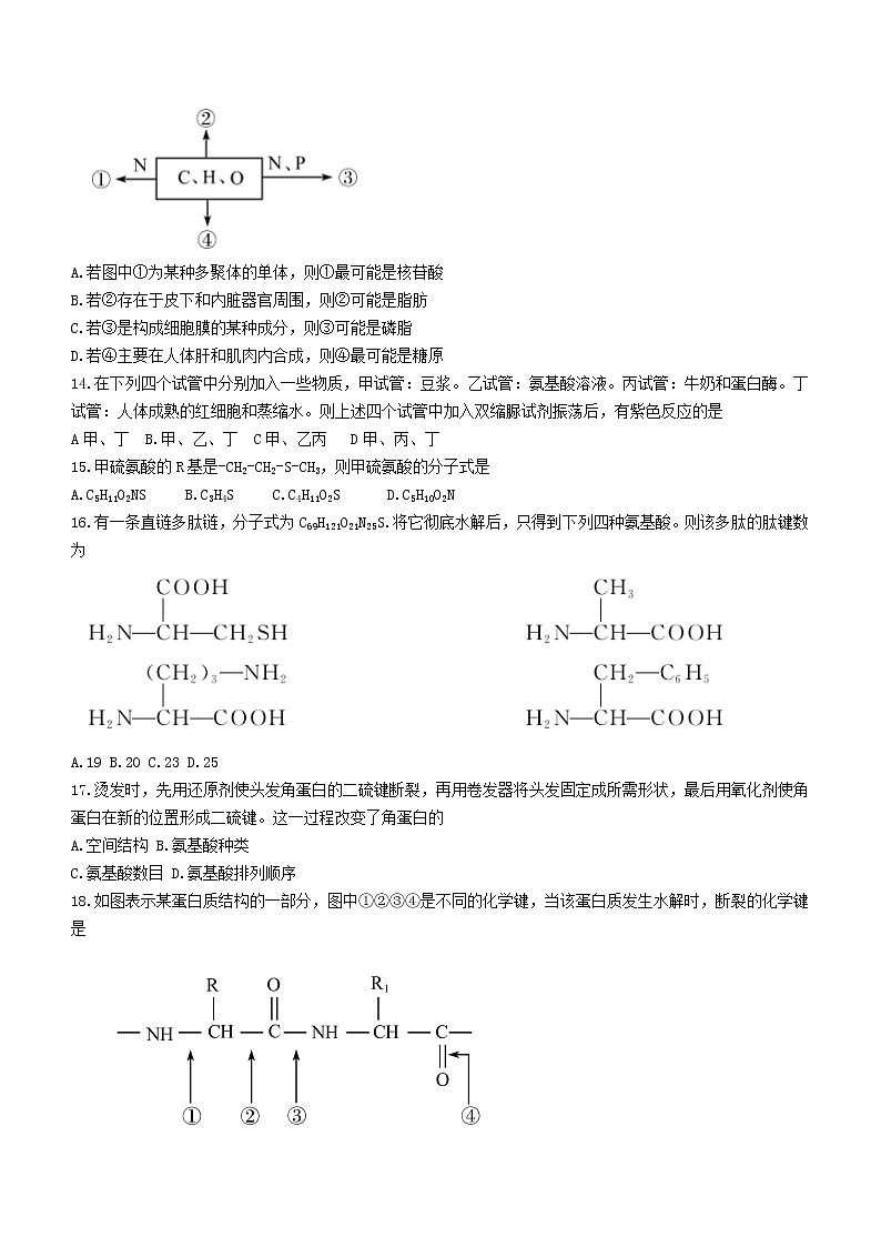 2022张掖某重点校高一上学期期中生物试题含答案第3页
