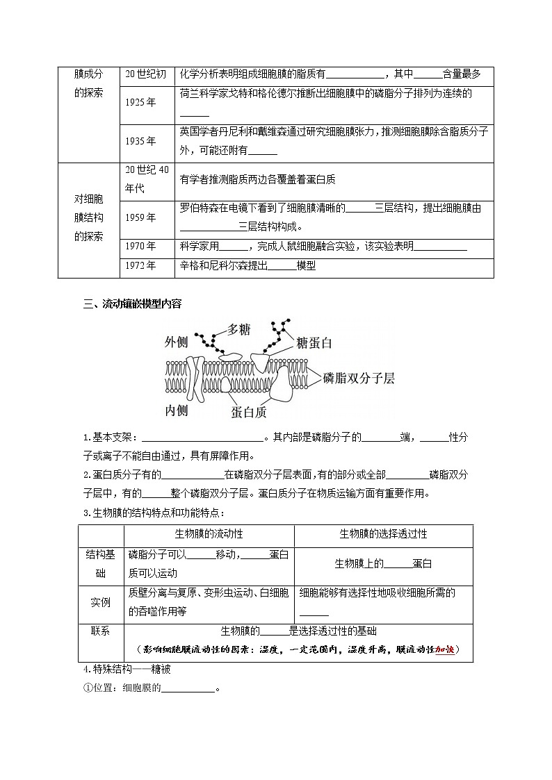 【必背知识清单】高中生物(人教版2019)必修第一册 3.1 细胞膜的结构和功能 同步必备知识清单02