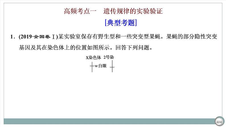 【最新版】22届高考生物二轮专题复习之大题考法 高考命题二 遗传规律与伴性遗传【同步课件】第2页