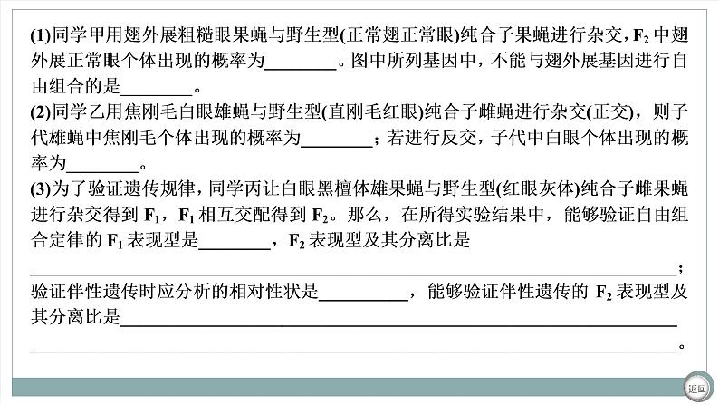 【最新版】22届高考生物二轮专题复习之大题考法 高考命题二 遗传规律与伴性遗传【同步课件】第3页