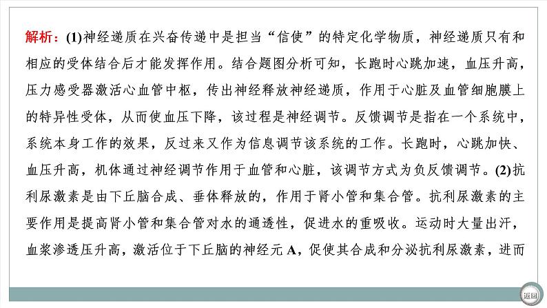 【最新版】22届高考生物二轮专题复习之大题考法 高考命题三 人和动物生命活动的调节【同步课件】第6页
