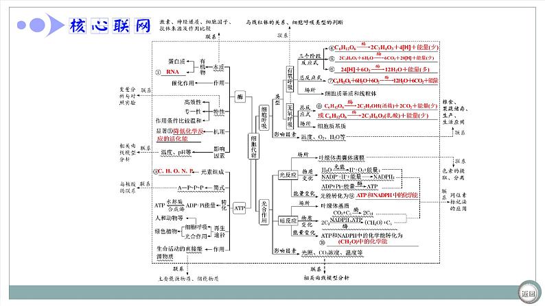 【最新版】22届高考生物二轮专题复习之专题二 细胞代谢【同步课件】第4页
