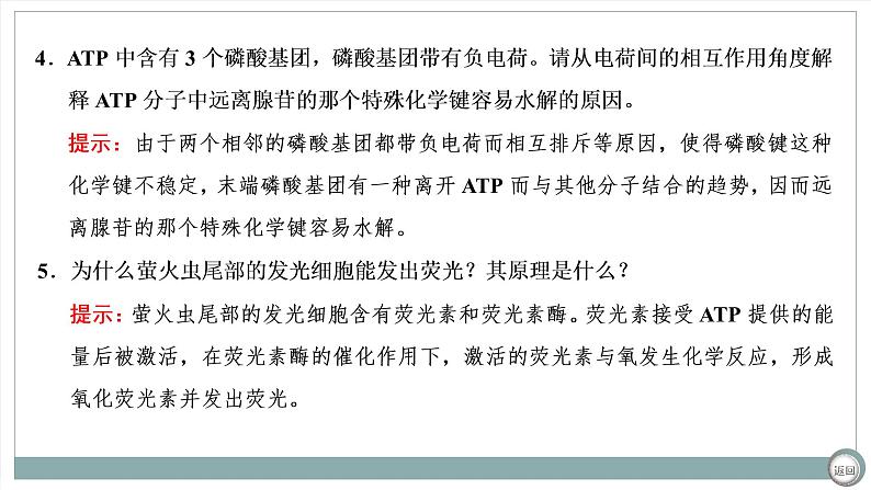 【最新版】22届高考生物二轮专题复习之专题二 细胞代谢【同步课件】第6页