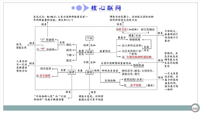 【最新版】22届高考生物二轮专题复习之专题十 种群与群落【同步课件】第4页