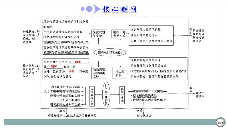 【最新版】22届高考生物二轮专题复习之专题十五 实验与探究【同步课件】第4页