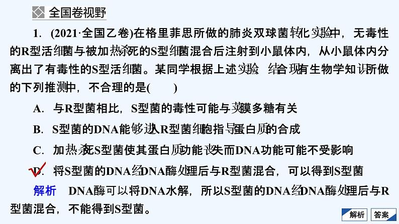 【最新版】23届生物新高考二轮专题复习之专题4 遗传的分子基础【同步课件】第3页