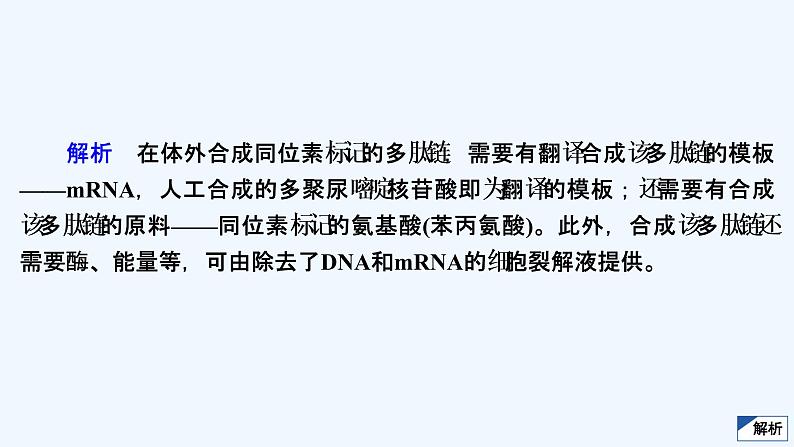 【最新版】23届生物新高考二轮专题复习之专题4 遗传的分子基础【同步课件】第5页