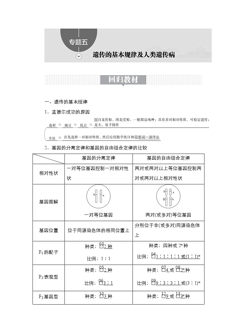 【最新版】23届生物新高考二轮专题总结+练习之专题5 遗传的基本规律及人类遗传病第1页