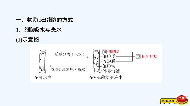 【最新版】23届生物新高考二轮专题总结+练习之专题2 细胞的代谢【同步课件】第2页