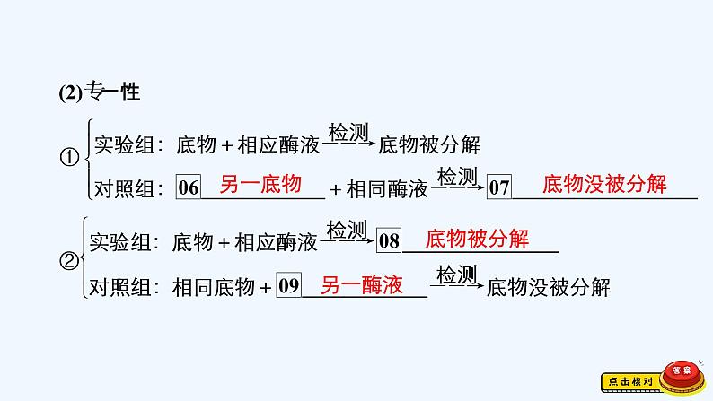 【最新版】23届生物新高考二轮专题总结+练习之专题2 细胞的代谢【同步课件】第7页
