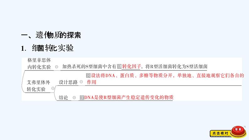 【最新版】23届生物新高考二轮专题总结+练习之专题4 遗传的分子基础【同步课件】第2页