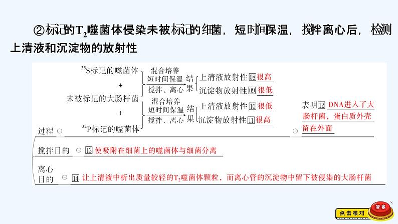 【最新版】23届生物新高考二轮专题总结+练习之专题4 遗传的分子基础【同步课件】第5页