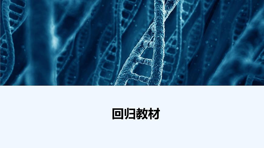 【最新版】23屆生物新高考二輪專題總結(jié)+練習(xí)之專題9 生物與環(huán)境【同步課件】第1頁