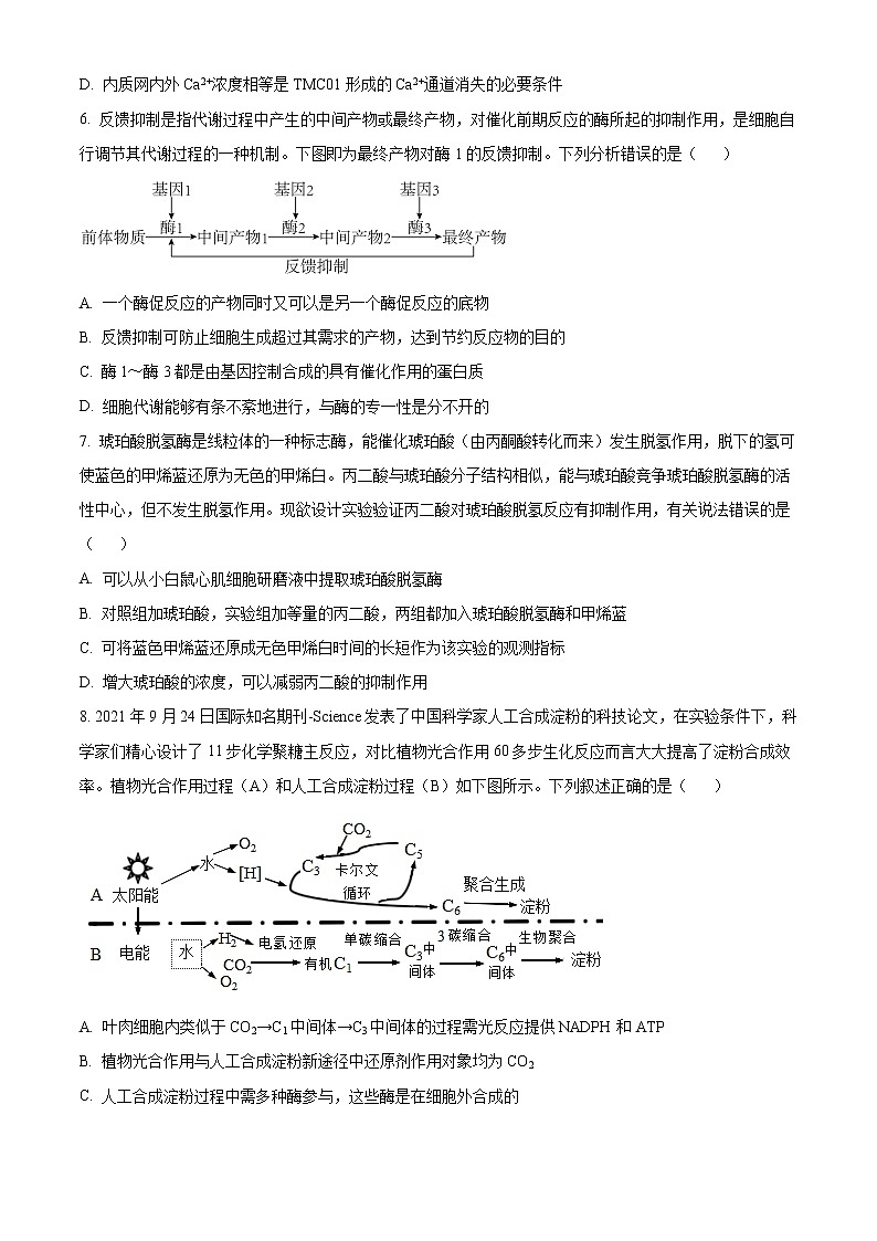 湖北省部分重点中学2022-2023学年高三10月联考生物试题无答案第2页