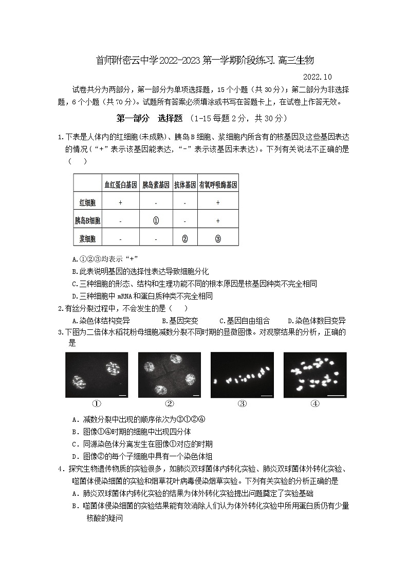 北京市首都師范大學附屬密云中學2022-2023學年高三生物上學期10月階段性練習試題（Word版附答案）第1頁