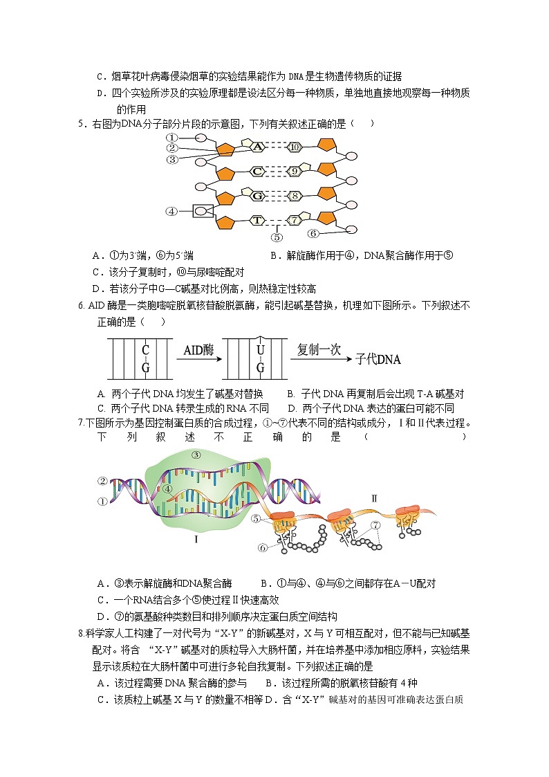 北京市首都師范大學附屬密云中學2022-2023學年高三生物上學期10月階段性練習試題（Word版附答案）第2頁