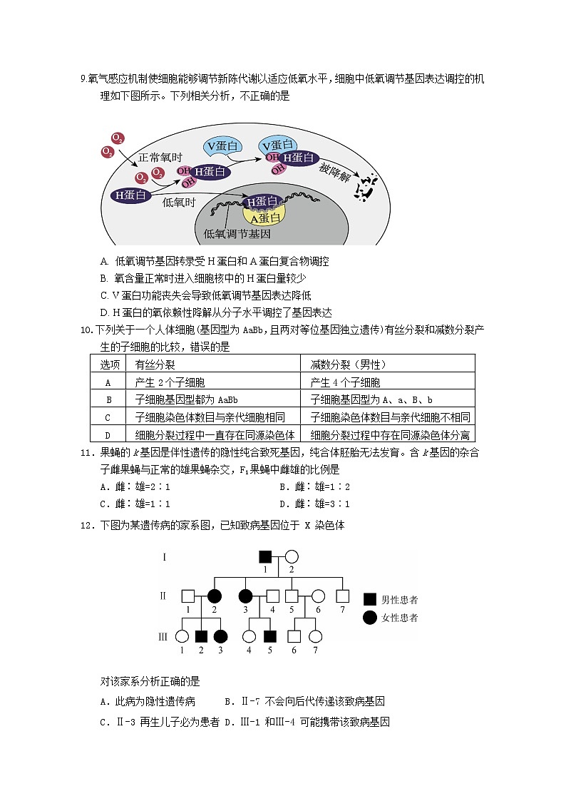 北京市首都師范大學附屬密云中學2022-2023學年高三生物上學期10月階段性練習試題（Word版附答案）第3頁