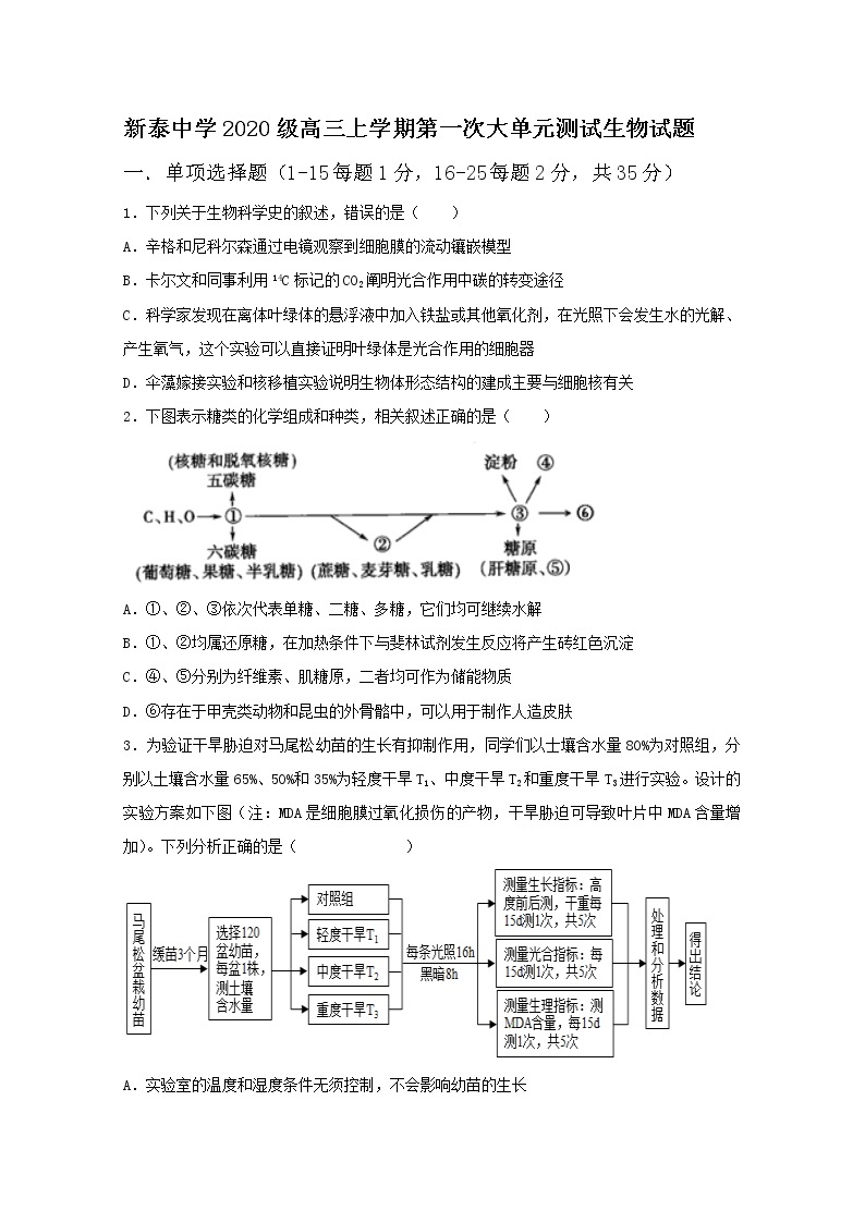 山东省泰安市泰安一中老校区（新泰中学）2023届高三生物上学期第一次月考试题（Word版附答案）01