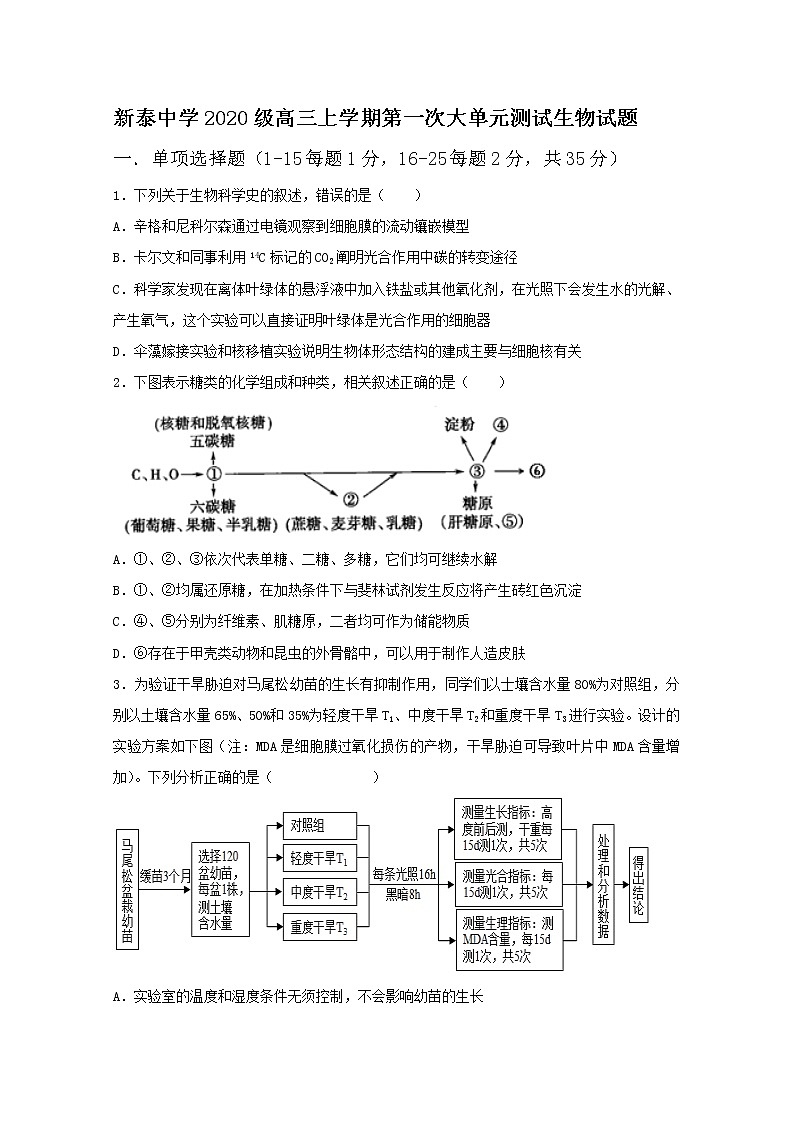 山东省泰安市泰安一中老校区(新泰中学)2023届高三生物上学期第一次月考试题(Word版附答案)第1页