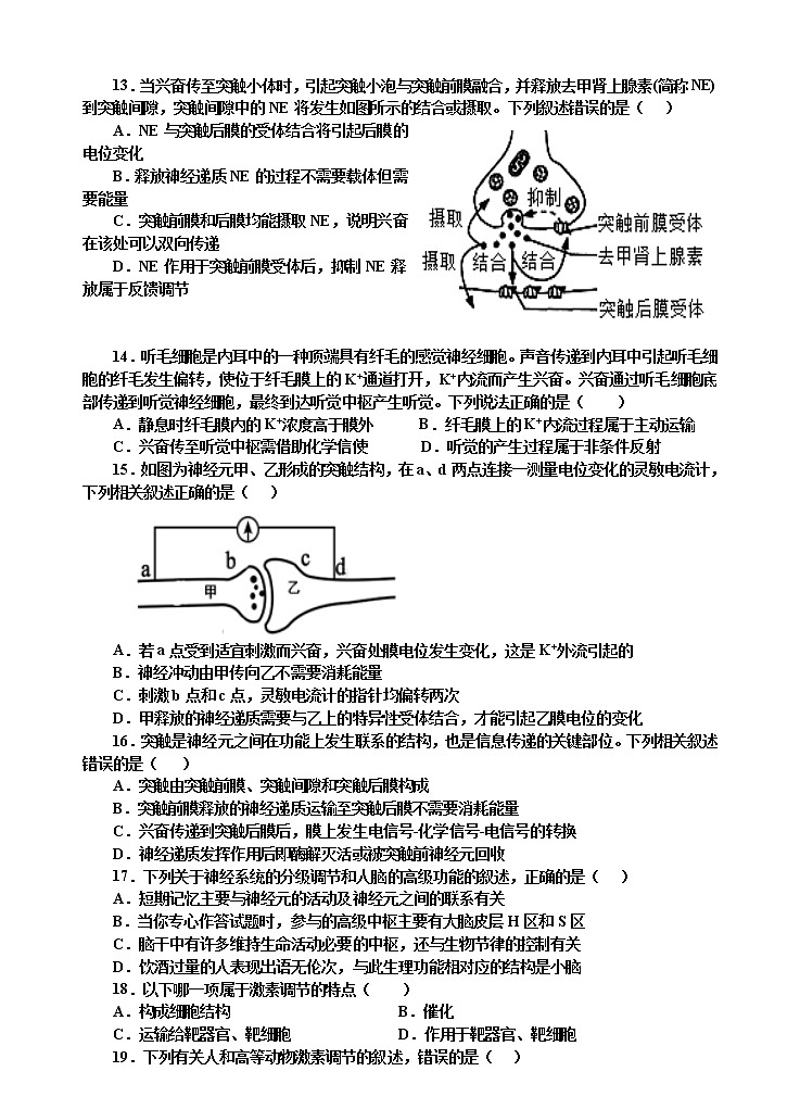陕西省延安市第一中学2022-2023学年高二上学期第一次月考生物试题(A卷)(含答案)第3页