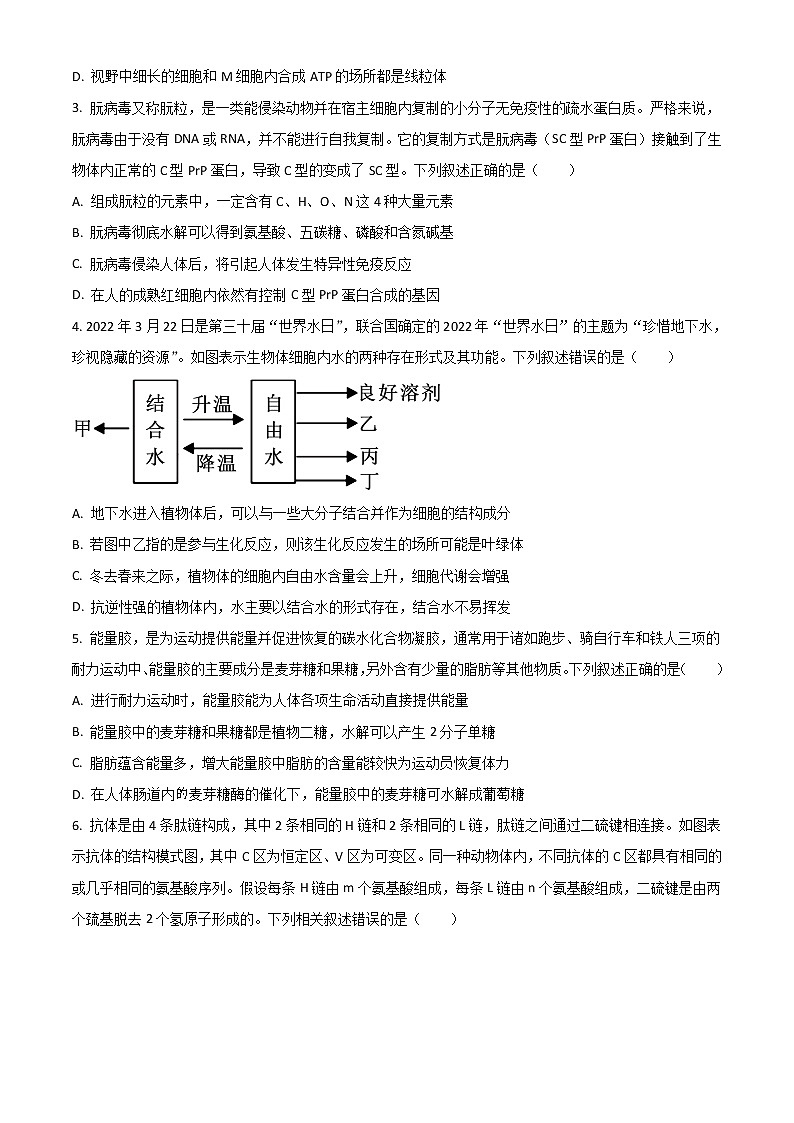 2023安徽省示范高中高三上学期第二次联考生物试题含答案第2页