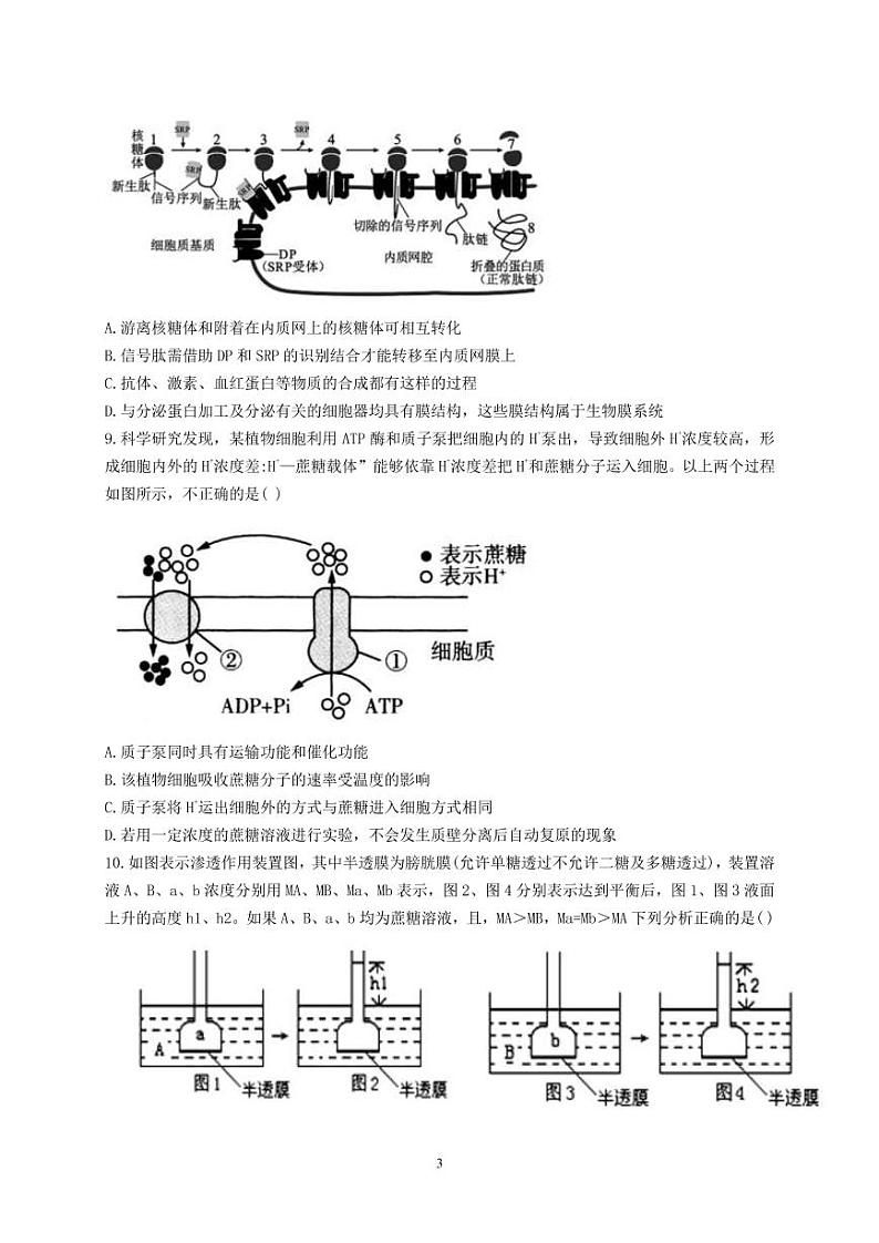 2022-2023学年江西省临川第一中学高三上学期第一次月考--生物(PDF版)第3页
