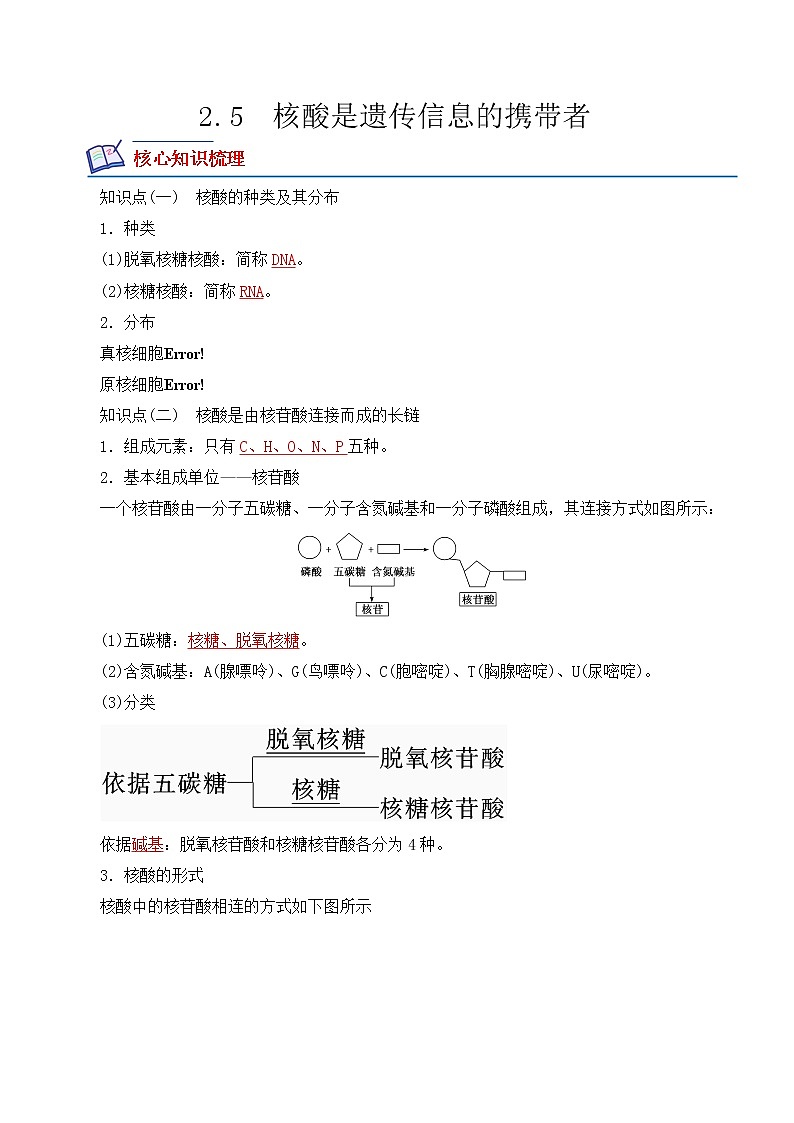 【培优分级练】高中生物(人教版2019)必修第一册 2.5《核酸是遗传信息的携带者》同步分级练(解析版)第1页